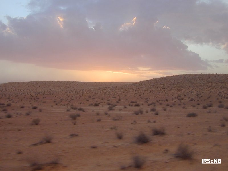 Coucher de soleil sur le PN de Djebil.Tunisie. M-O.Beudels