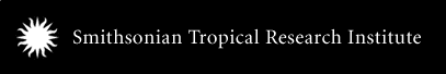 Smithsonian Tropical Research Institute Logo