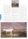 article_koen_2004_tunisie3 copy.jpg (104431 octets)