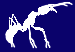 Back to Ant Home Page