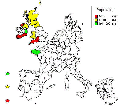 wpeA9.jpg (24746 bytes)