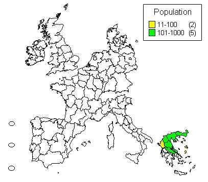 wpe41.jpg (24234 bytes)