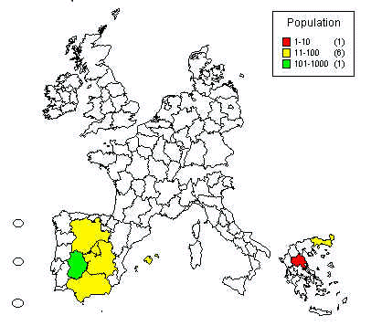 wpe3F.jpg (24420 bytes)