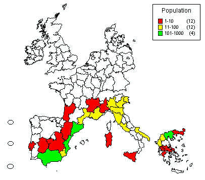 wpeE.jpg (25505 bytes)