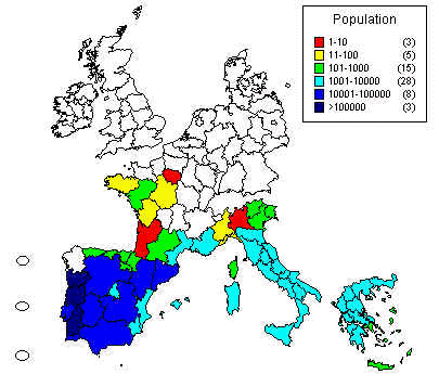 wpe36.jpg (27424 bytes)