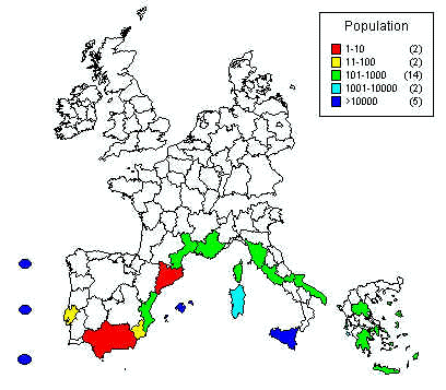 wpe6.jpg (26089 bytes)