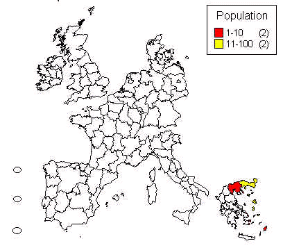 wpe9.jpg (23940 bytes)