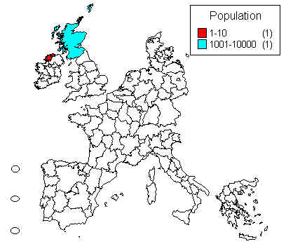 wpe2.jpg (24453 bytes)