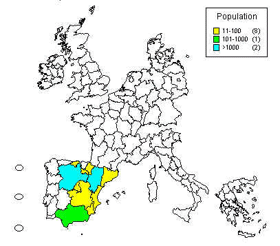 wpe32.jpg (24353 bytes)