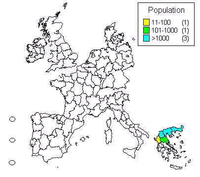 wpe30.jpg (24716 bytes)