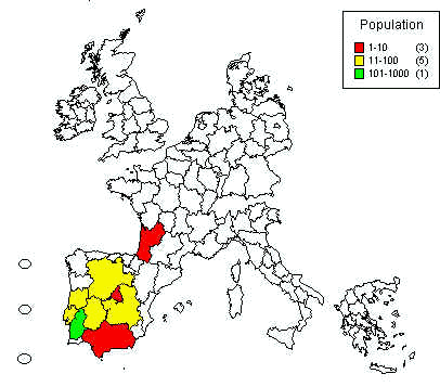 wpe3A.jpg (24287 bytes)