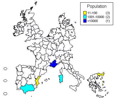 wpe16.jpg (24652 bytes)