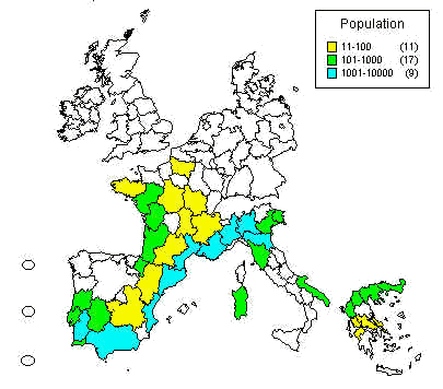 wpe11.jpg (26399 bytes)