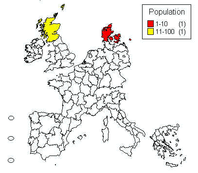 wpe4.jpg (24179 bytes)