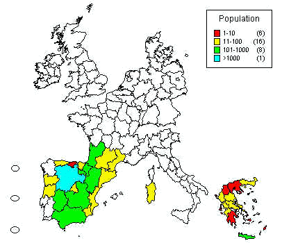 wpe3E.jpg (25987 bytes)