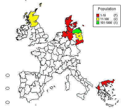 wpe46.jpg (24625 bytes)