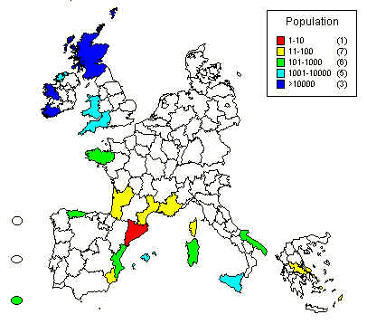 wpe7.jpg (26115 bytes)