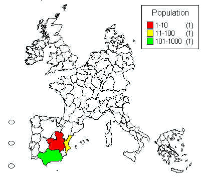 wpe8.jpg (24694 bytes)