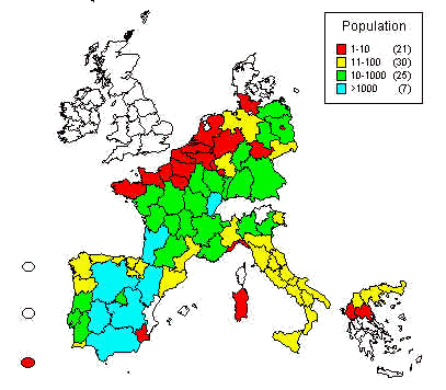 wpe3B.jpg (28058 bytes)