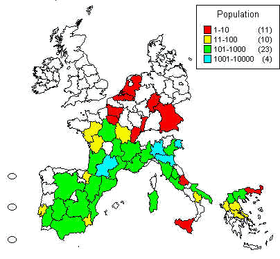 wpeC.jpg (29429 bytes)