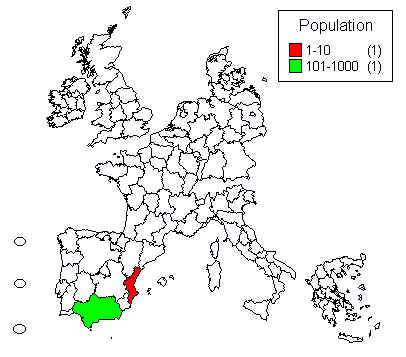 wpe17.jpg (24004 bytes)