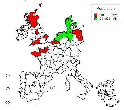 wpeB5.jpg (24632 bytes)