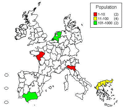 wpe14.jpg (24595 bytes)