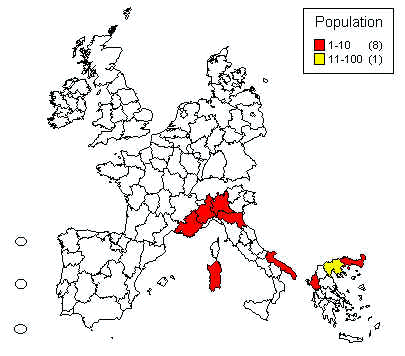 wpe15.jpg (23798 bytes)