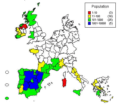 wpe1B.jpg (26980 bytes)