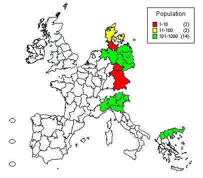 wpe26.jpg (24860 bytes)