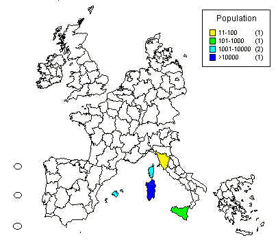 wpe28.jpg (24371 bytes)